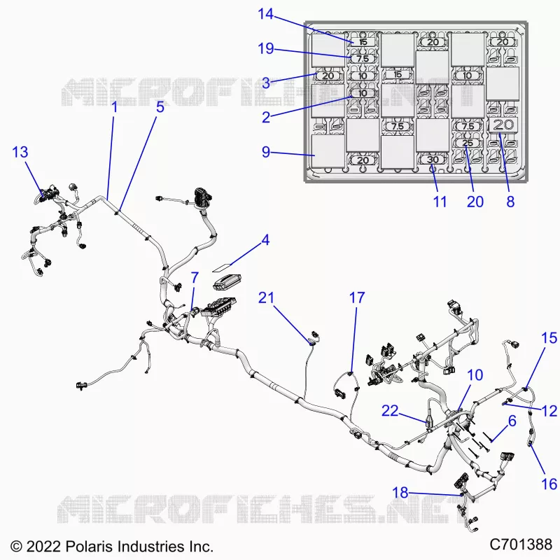 ELECTRICITE, WIRE HARNESS