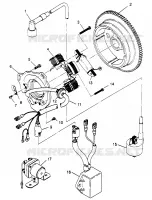 STATOR (300) XPRESS 300 W969530 (4935923592D006)