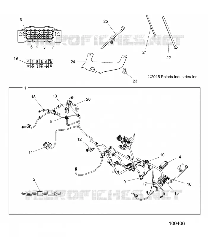 ELECTRICITE, HARNESS
