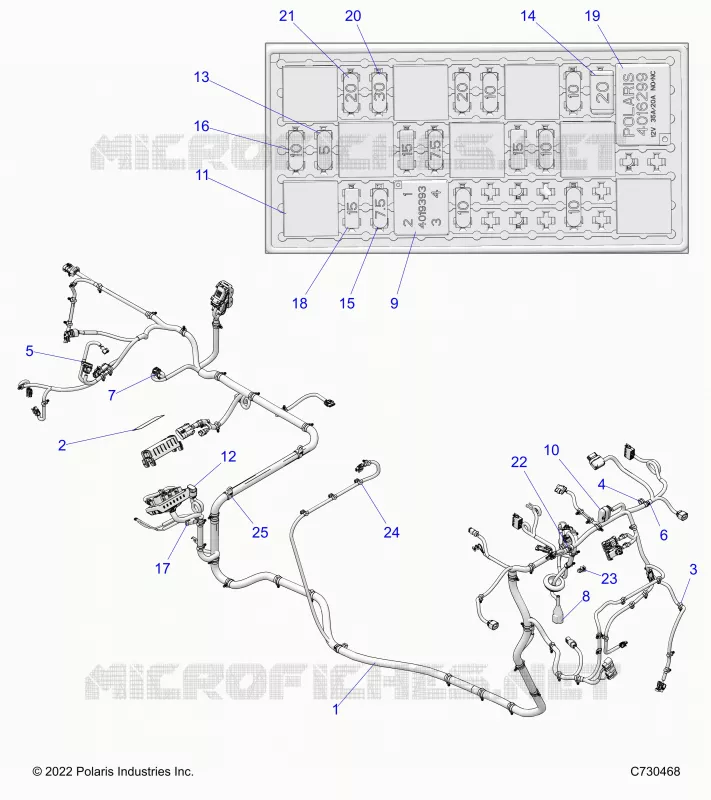 ELECTRICITE, WIRE HARNESS
