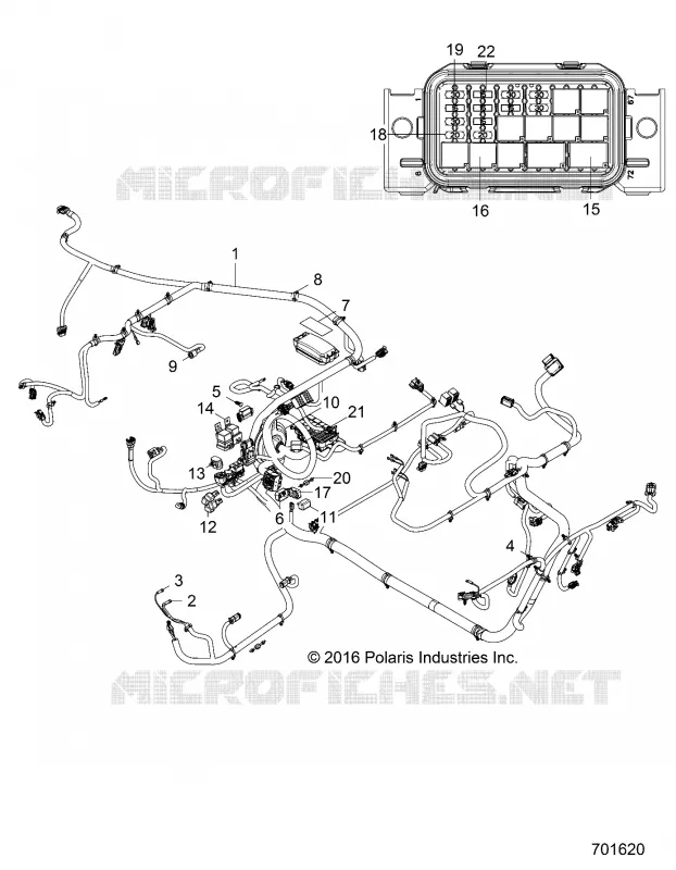 ELECTRICITE, HARNESS
