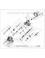 DRIVE TRAIN, PONT PRINCIPAL