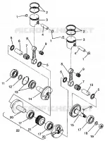 PISTON ET VILEBREQUIN CLASSIC TOURING 0963365 AND EUROPEAN CLASSIC TOURING (4933623362C011)