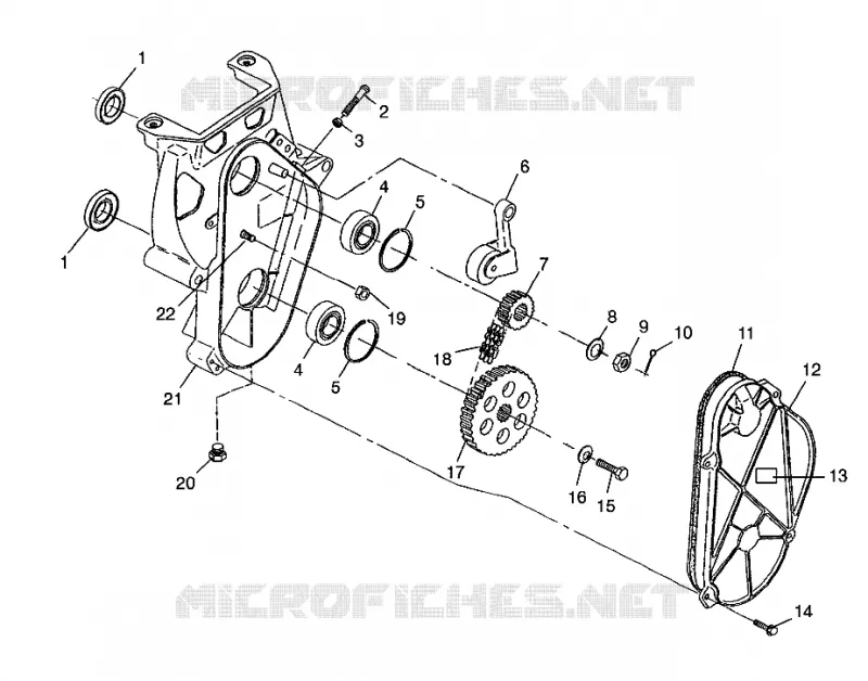 CARTER DE CHAINEE 500 INDY 0982764(A)(B) AND EUROPEAN 500 INDY E982764A (4942104210B013)