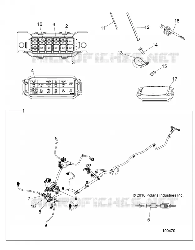 ELECTRICITE, HARNESS