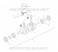 PISTON ET VILEBREQUIN (800)