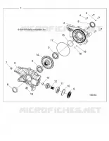 DRIVE TRAIN, PONT ARRIERE INTERNALS