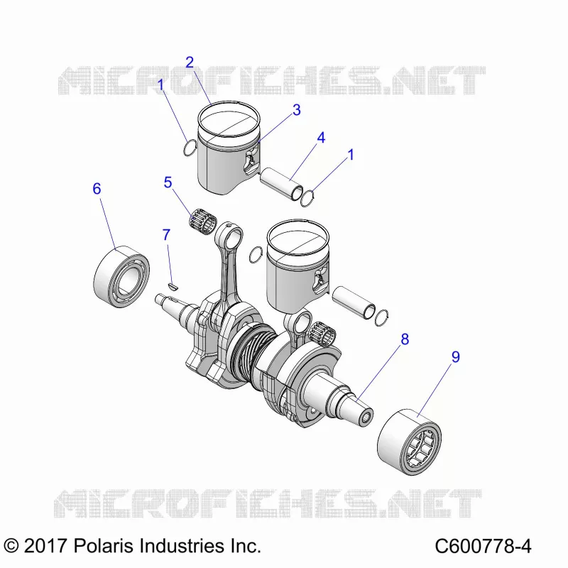 ENGINE, PISTON AND VILEBREQUIN