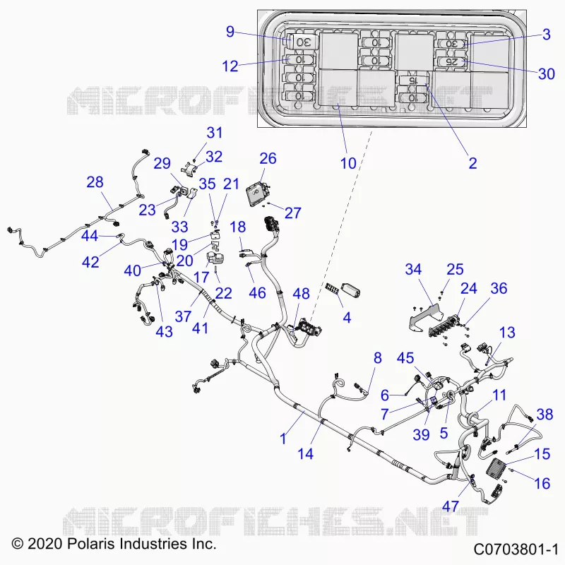 ELECTRICITE, WIRE HARNESS