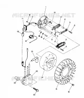 STATOR Trail (4915441544026A)