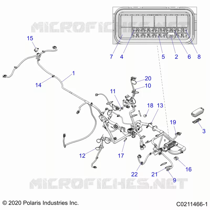 ELECTRICITE, HARNESS