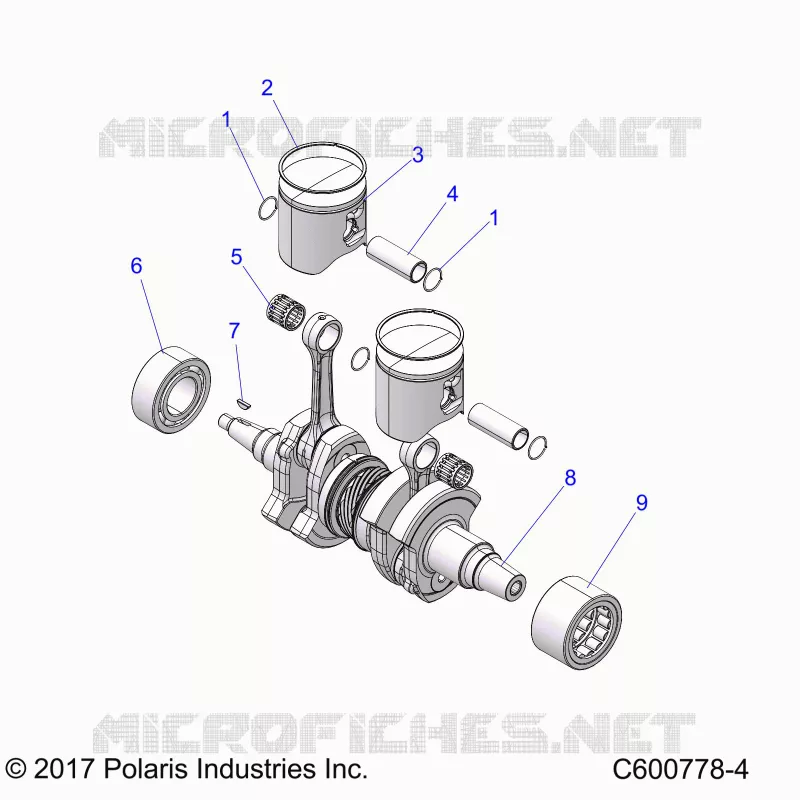 ENGINE, PISTON AND VILEBREQUIN