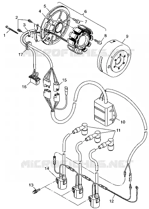 STATOR