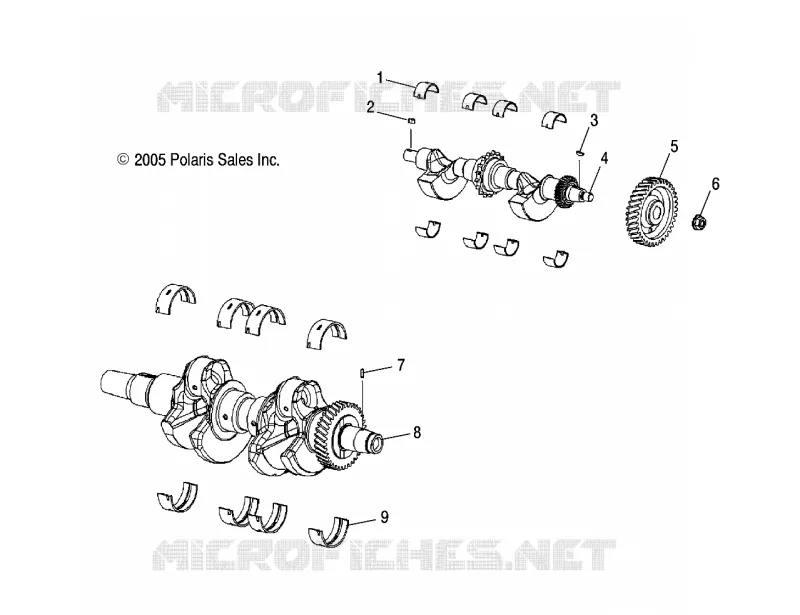 VILEBREQUIN AND BALANCE SHAFT