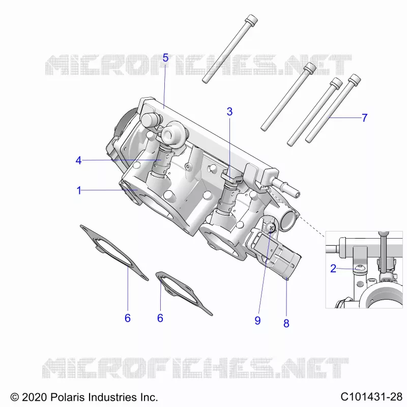 ENGINE, CORPS DE PAPILON