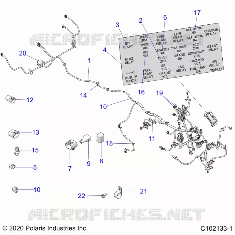 ELECTRICITE, HARNESS
