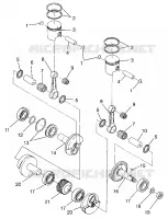 PISTON ET VILEBREQUIN CLASSIC TOURING  0973365 AND EUROPEAN CLASSIC TOURING (4938493849C011)