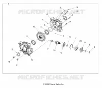 DRIVE TRAIN, REAR PONT INTERNALS